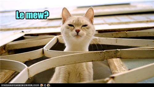 catbathinfo's tweet photo. Thanks for following back friends http://t.co/fN4NoQCTU6