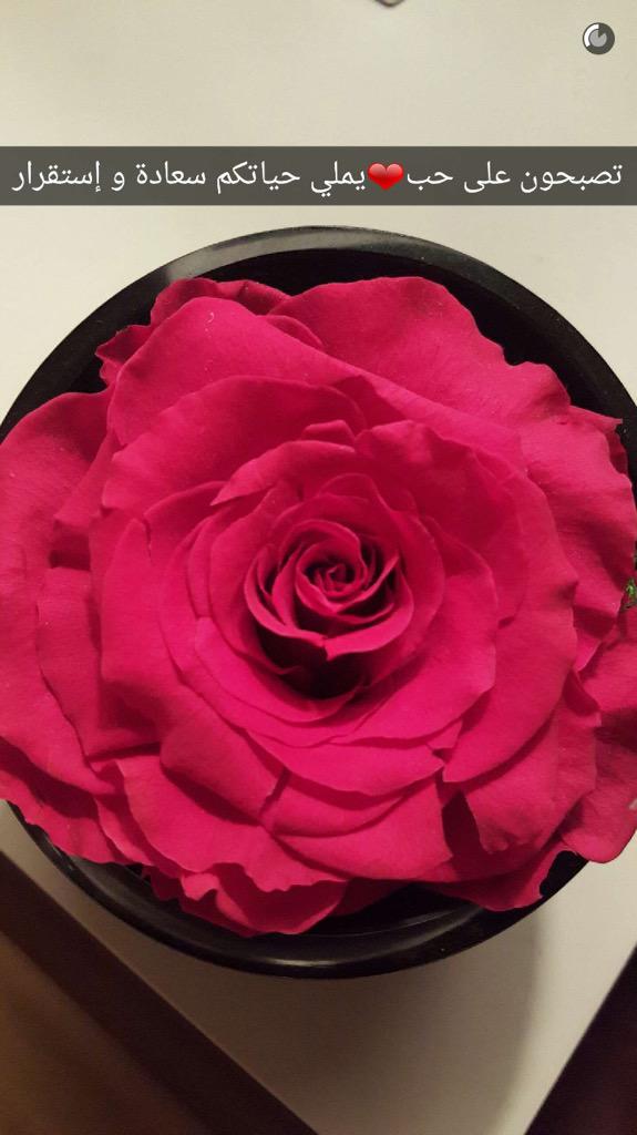 ياللي تقول المال يستر عيوبك
ما ننكر إن المال تستر به الحال
وش يسترك لا صار عيبك ذنوبك
ما ظن تقـدرتخفي الذنب بالمال