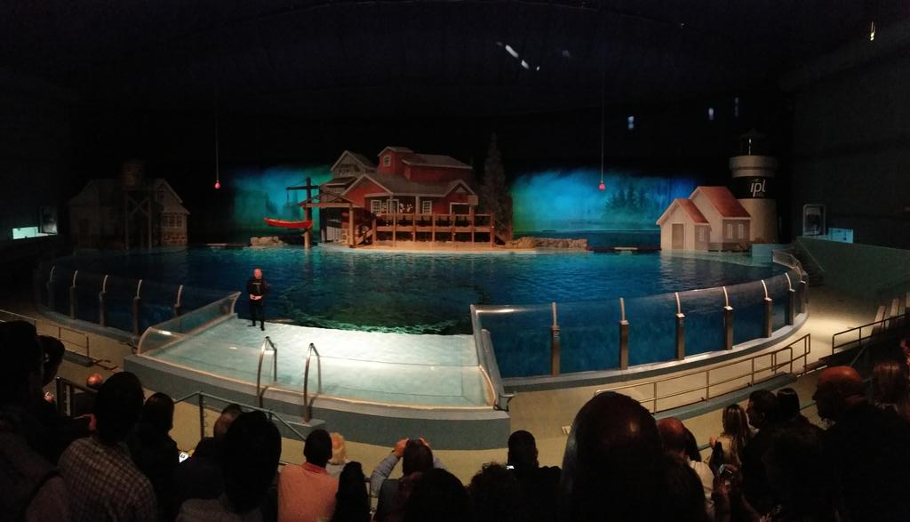 hrubese's tweet photo. Can't beat a little Dolphin Show after a day full of #LLPU Meetings! #FunStuff http://t.co/sjEgGRKXqo