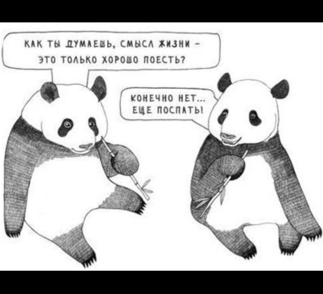 Панды