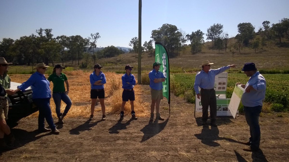 BASF_Agro_Au's tweet photo. BASF Ag tech team proudly hosting our first field day at the #AgSolution Farm, #Tamworth. #Sharpen #Systiva on show http://t.co/JDdDoCd3kg