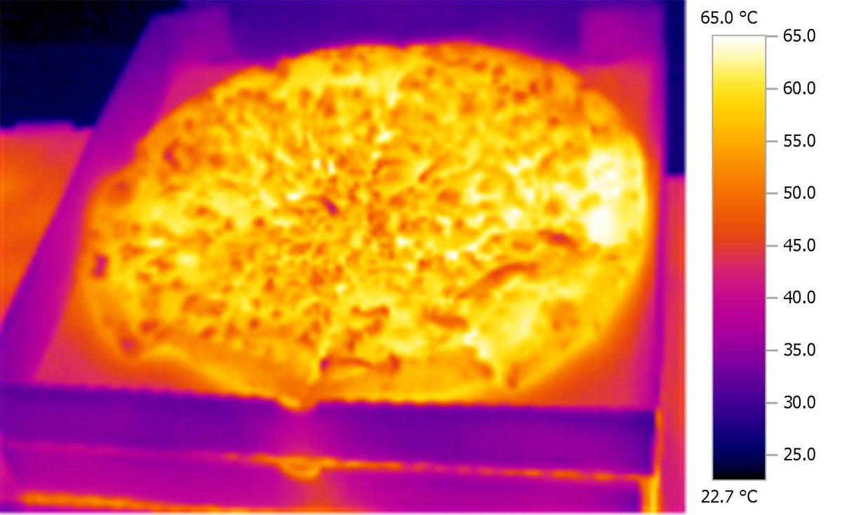 hacklabto's tweet image. Once you open the @Panago_Pizza box, the pizza is as hot as 65°C in some spots! Mmm... delicious #PizzaScience