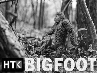 HungryToTeach's tweet photo. Check out our new free lesson "Big Foot". http://t.co/1z4BzbmQV2 http://t.co/ErZuWYNWfg