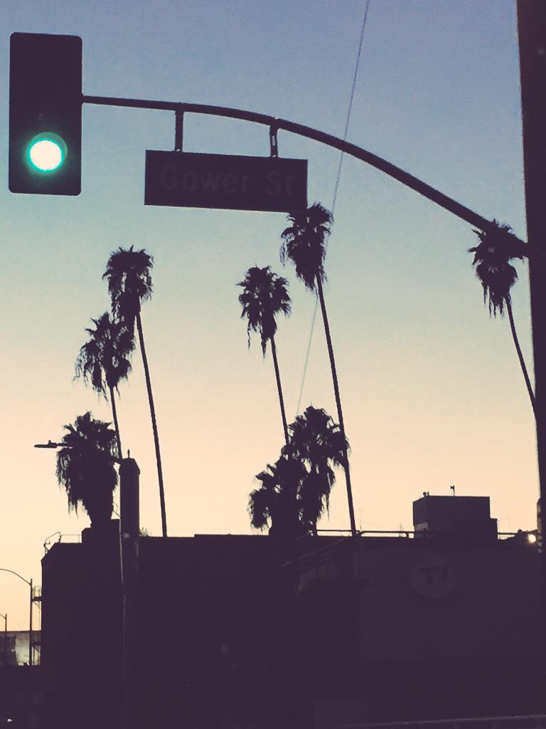 megannicole's tweet photo. Never get tired of seeing palm trees against the sunset 🌴 http://t.co/7bXsmSZ6T1