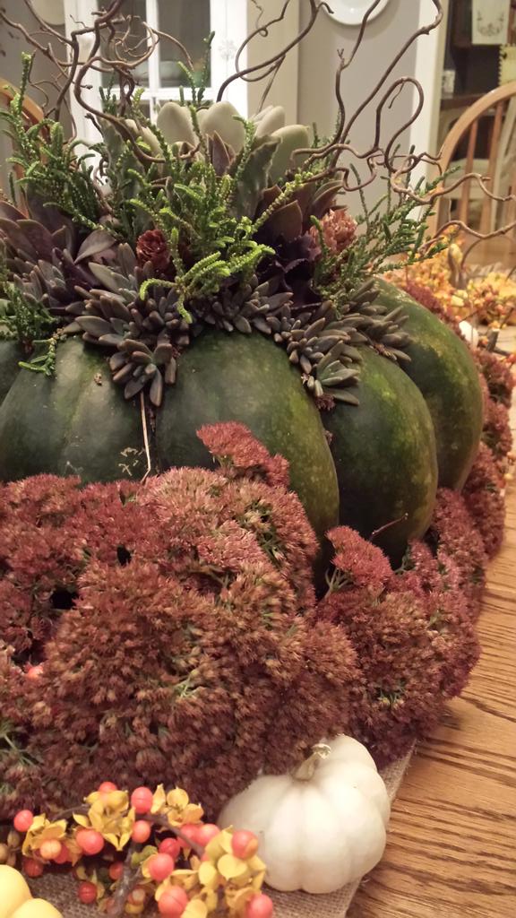 callawayfields's tweet image. Fall centerpieces made from succulents and pumpkins are hard to beat! #pumpkin #succulents #autumn