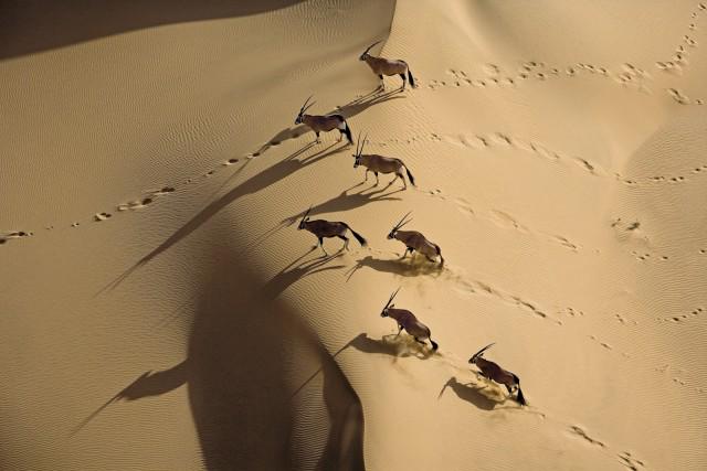 writeca's tweet photo. The Mesmerizing Nature Photography by the Restless Michael Poliza http://t.co/IqfcQW0amh | Images: © Michael Poliza http://t.co/FupNVRGpV1