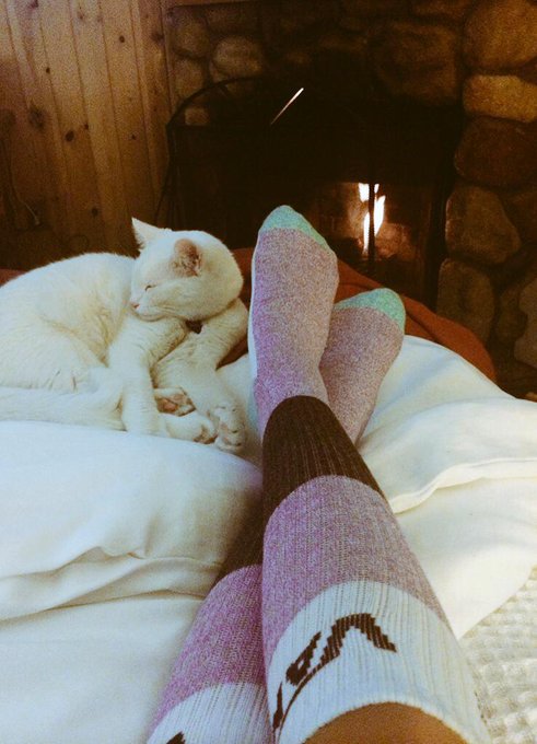 @KurtLockwoodXXX  Mr. Meowgi is absolutely loving the fireplace🔥😻🎀 http://t.co/OScoQMHFJu http://t.c<a class="tags" target="_blank" title="On Twitter" href="/?out=eyJ0eXAiOiJKV1QiLCJhbGciOiJIUzUxMiJ9.eyJpYXQiOjE3MjQ1MzkyMjksImlzcyI6InR3cG9ybnN0YXJzLmNvbSIsIm5iZiI6MTcyNDUzOTIyOSwiZXhwIjoxNzU2MDc1MjI5LCJyZWRpcmVjdF91cmwiOiJodHRwczovL3R3aXR0ZXIuY29tL0t1cnRMb2Nrd29vZFhYWCJ9.MpuYoW7ZtsCP5dldkVAvH8M5VCIkPECpQmpb6x-8E-mq8oj6fO3ExEqUvMRK4WcD1DGGc5pr5B0NGYSkrdf2kw">@KurtLockwoodXXX</a><a href="/tag/bathtime"class="tags"><span>#bathtime</span></a><a href="/tag/bubblebar"class="tags"><span>#bubblebar</span></a>