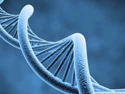 SlateUp's tweet image. Breakthrough: Huge new genome discovery shakes human medicine
goo.gl/thKsn7 #genetics