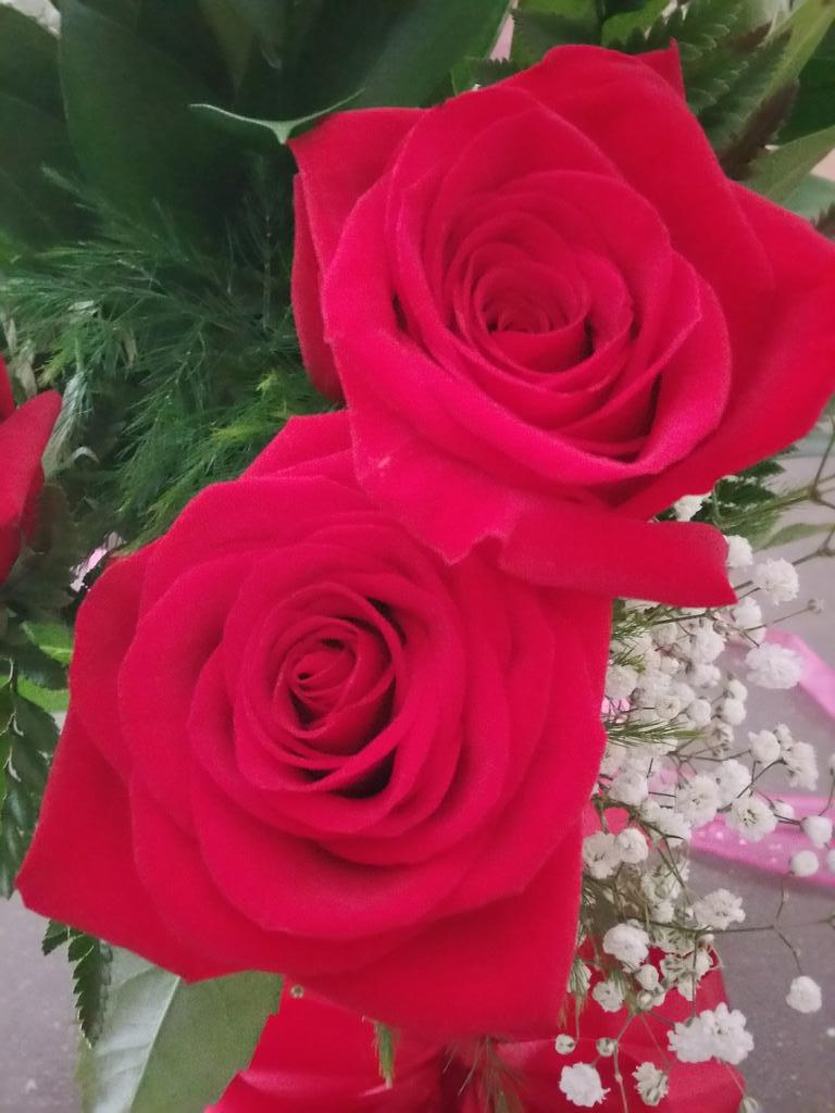 shellwelness's tweet image. Let a flower bloom for each heart I inspire #shellwellness #heartsinspired