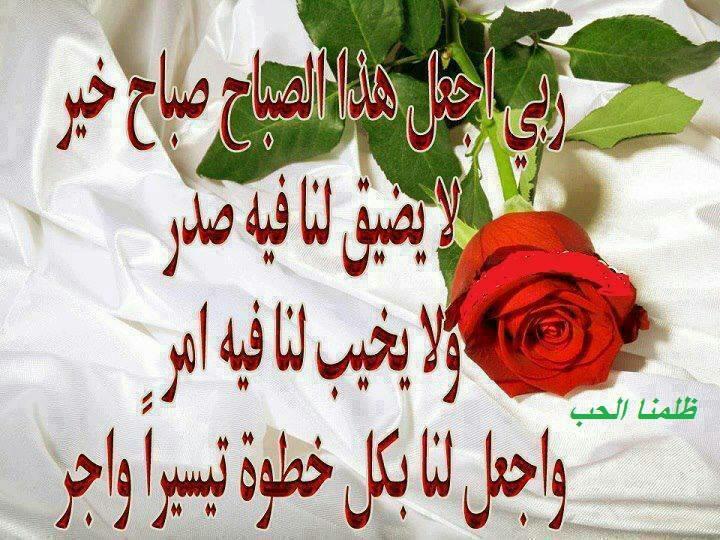 rreen2020's tweet photo. http://t.co/NAzIvqlVcn