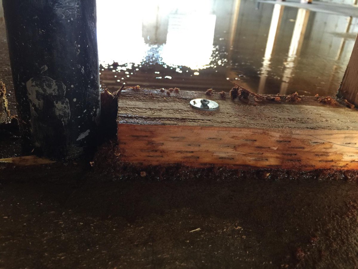 jontehero's tweet photo. Framing up this week! Wood's been soaking in massive puddles for > a week and looks bad #ivoryhomes #canyouhelpme http://t.co/58X4c3DSi5