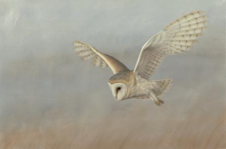 #mistymorning #barnowlpainting this painting sums up the morning