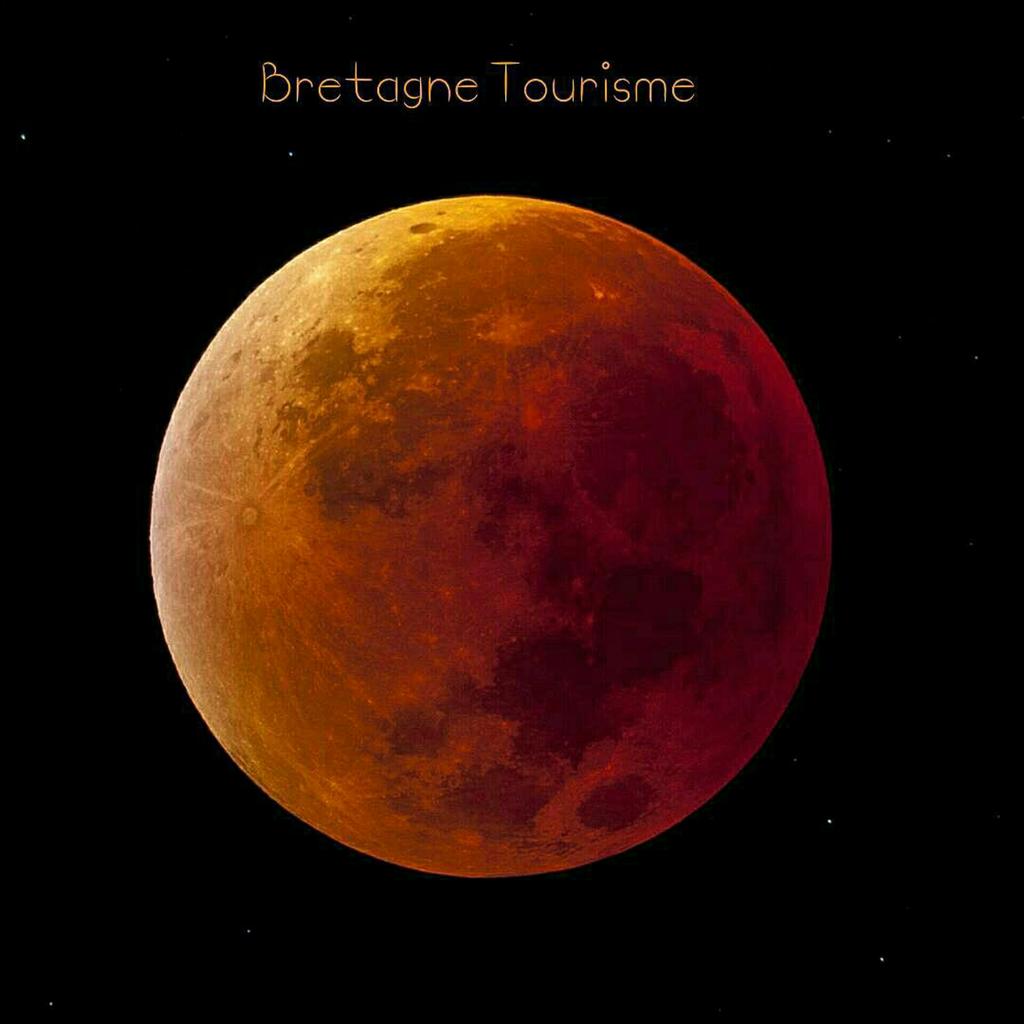 Bretagne tweet media