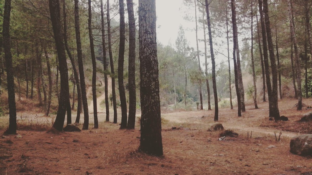 Tidak ada hujan di kemahtherapy :D. Grey.eye.elephant episode 3. Next week !!