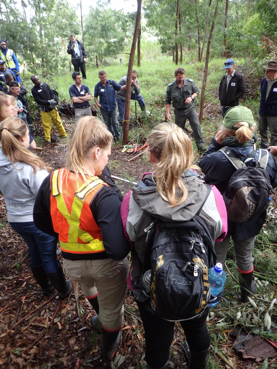 Southern Cape FPA tweet media