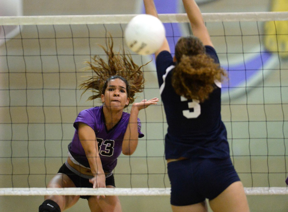 CIF volleyball polls for all divisions unveiled Prep Sports Bulletin