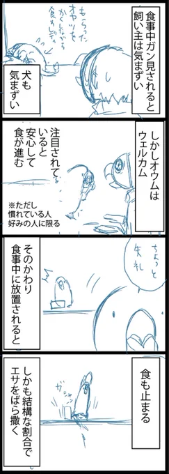 食事と視線 