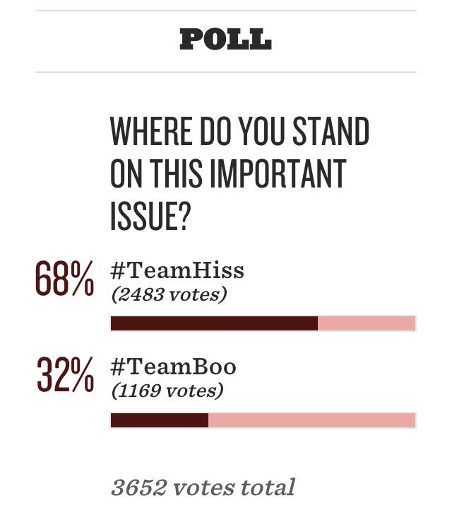 Good Bull Hunting tweet media