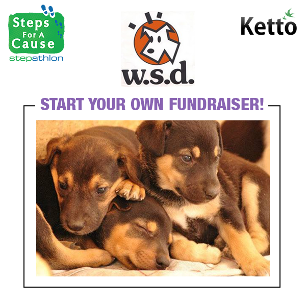 Stepathlon's tweet photo. Help a homeless dog this #100DayRace. Be a part of #StepsForACause - a Stepathlon @Ketto initiative. @WSDIndia http://t.co/Q910qVTMZD