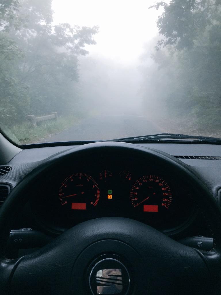 takii94's tweet photo. Early morning drive in the woods #drive #seat #leon #b2 http://t.co/AonYpOUkfV