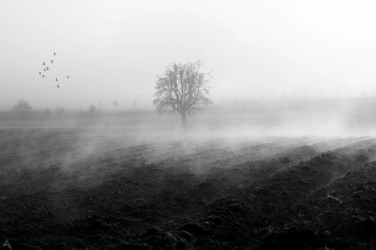 LaLaura XX 🇮🇹 tweet media