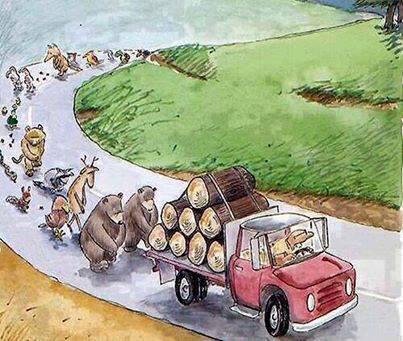 ISapnaMishra's tweet photo. Pic saying alot.. #SupportMahaWildLifeWeek http://t.co/p72W9mWdmg