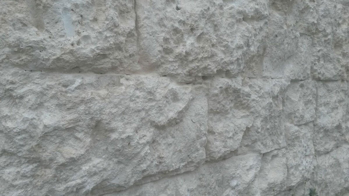 Coral Stone USA (coralstoneusa) Twitter