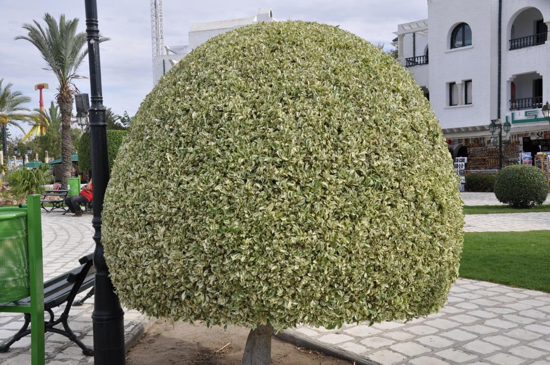 touk1978's tweet image. 