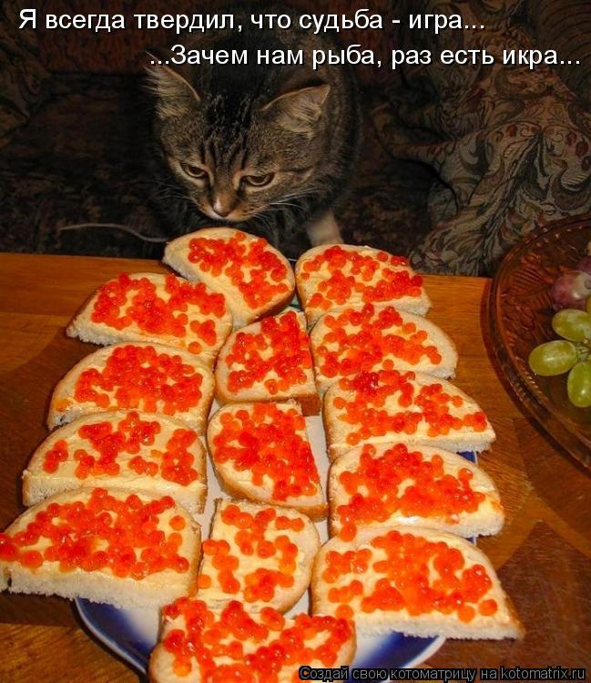 Прикольные картинки с красной икрой, открытки