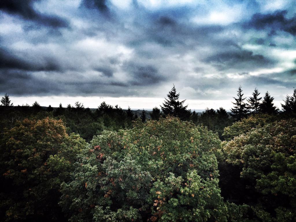 Corine_Poot's tweet photo. Het was zo gaaf deze #trailrun! 15.5km over de Veluwe. @loopmaatjes @visitveluwe #zandverstuiving #emmapyramide http://t.co/tM3dFMRrJt