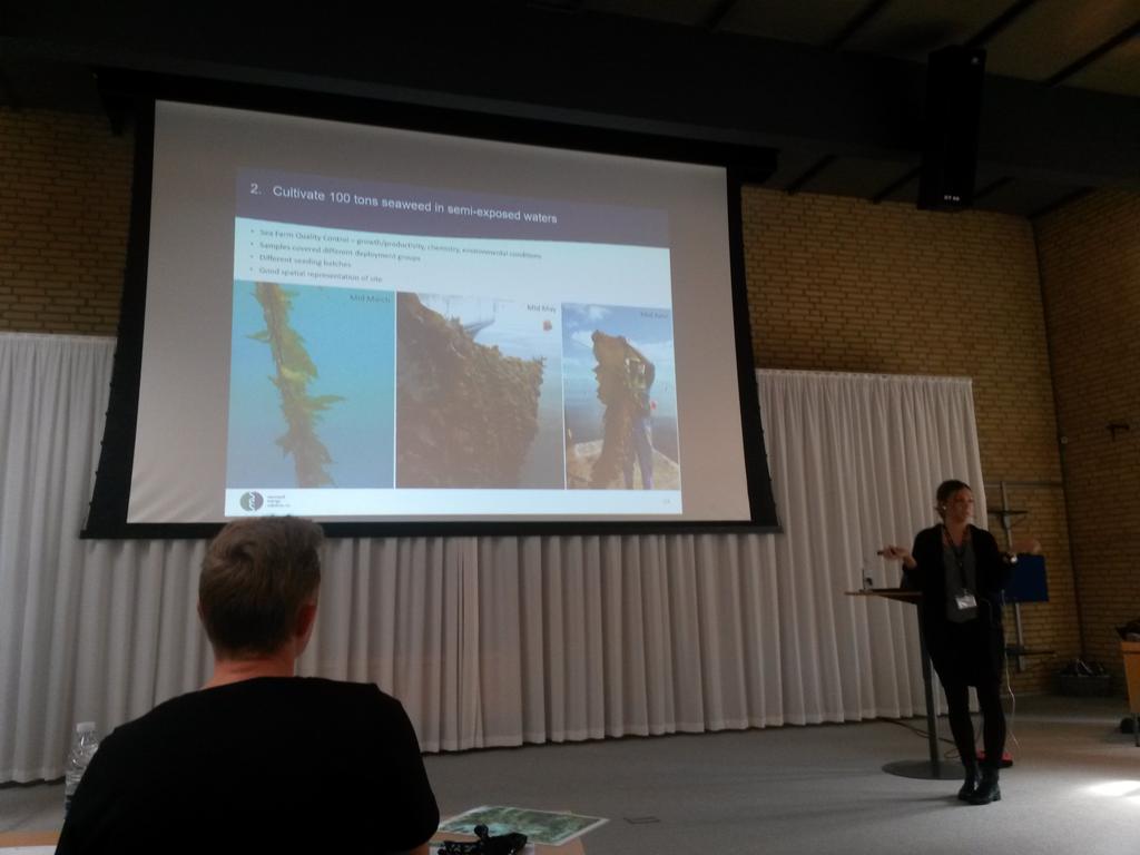 Learning about large scale kelp production in Norway! <a href="/AlgeCenterDK/">AlgeCenter Danmark</a> in #nordicseaweed15 #seaweed #macroalgae