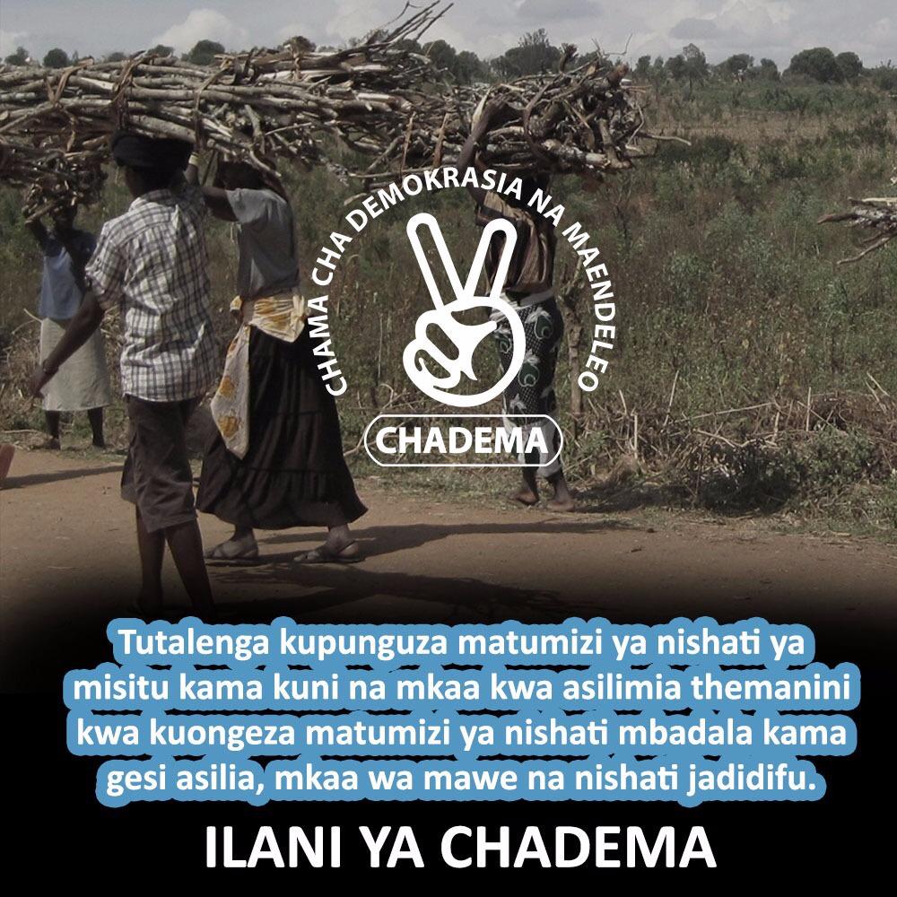 Hii ndio mipango yetu,Huwezi kuwanyima watu kutumia kuni na mkaa kama hujawapa suluhisho.Tumepanga na tutatimiza.