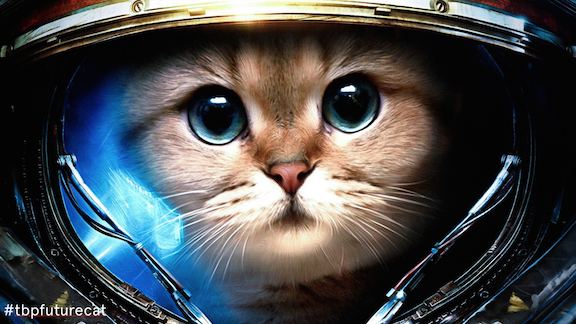 TBPresearch's tweet photo. #TBPfuturecat is coming... #PTS15 @BRANDPACKAGING October 14th http://t.co/OJaziKGCjz