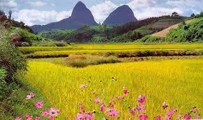 사랑, 그 존재만으로 세상의 모든 짐을 가볍게 해 주는 최상의 선이다. -토마스 아 켐피스 #마이산