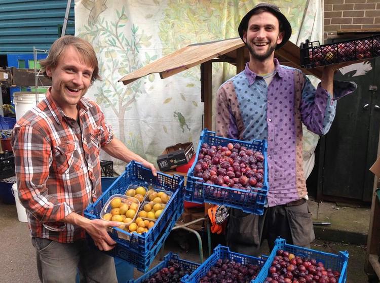 londonsilo's tweet photo. Old Tree's intercepted 200 kilos of plums ready for cordials and fermented drinks in the run up to Christmas 🍂 http://t.co/iKtHtT7SIV