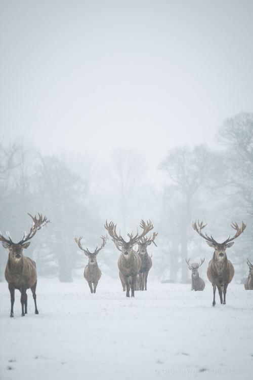 SJanwale's tweet photo. #SupportMahaWildLifeWeek Save,conserve and nurture the wild life http://t.co/6Ku09FZDDj