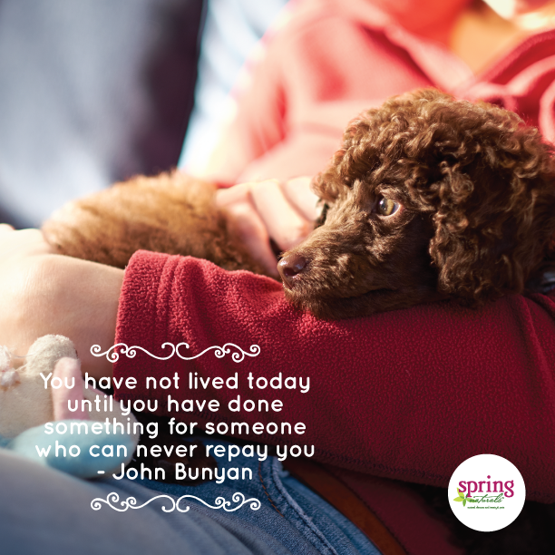SpringNaturals's tweet image. #WednesdayWisdom: You have not lived today until you have done something for someone who can never repay you.