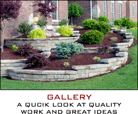Its time for your Fall Clean up!!
Give us a call 289-296-2449
Email us info@yardmastersniagara.com