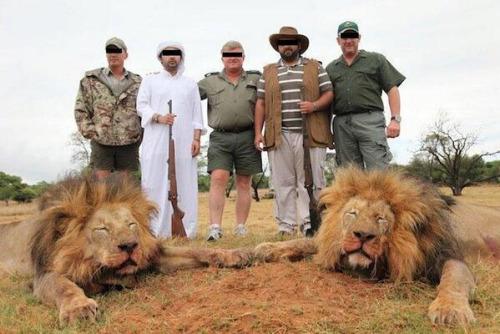 Los humanos han hecho del mundo un infierno para los animales