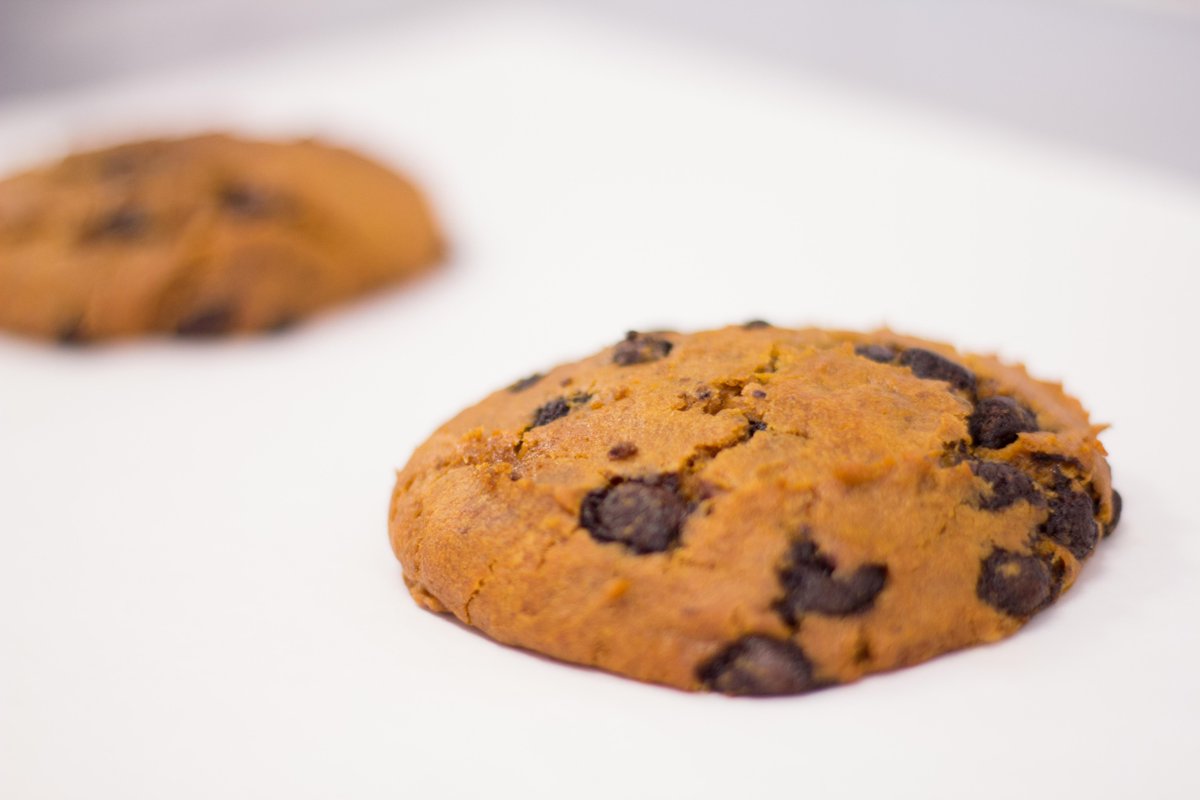 BakedBakeryCafe's tweet photo. Stop by for our seasonal Pumpkin Chocolate Chip Cookie. It is all sorts of delicious. #bakedinprovo #fall #cookies http://t.co/1y3Y3ggoyk