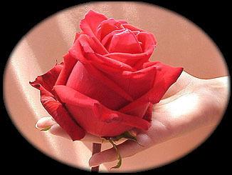 AlgiBasouti's tweet photo. @almzz768000 @ramy805 مساء الخير اخي http://t.co/tqQTsKFnwM