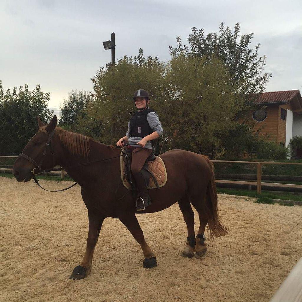 EQPpics's tweet photo. Post by peach_pia: Ich auf #Xaver gestern! Hatte wieder #Reitstunde am #Matthof! 😜 Bericht folgt. Aber soviel kann … http://t.co/s5zFV3UFVA