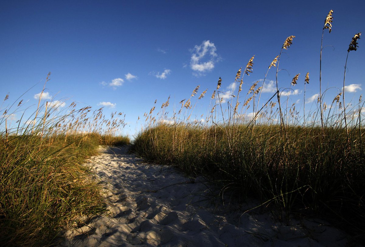 VISITFLORIDA's tweet image. The Charm of Amelia Island youtu.be/qlm2gUk-hm8 @Go2AmeliaIsland #LoveFL