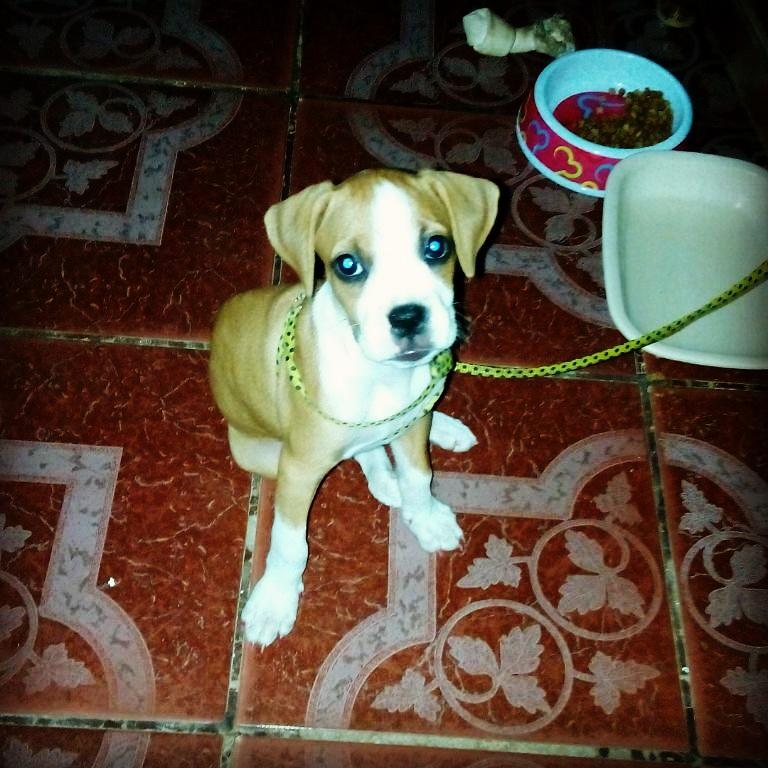 jesus manuel tweet media