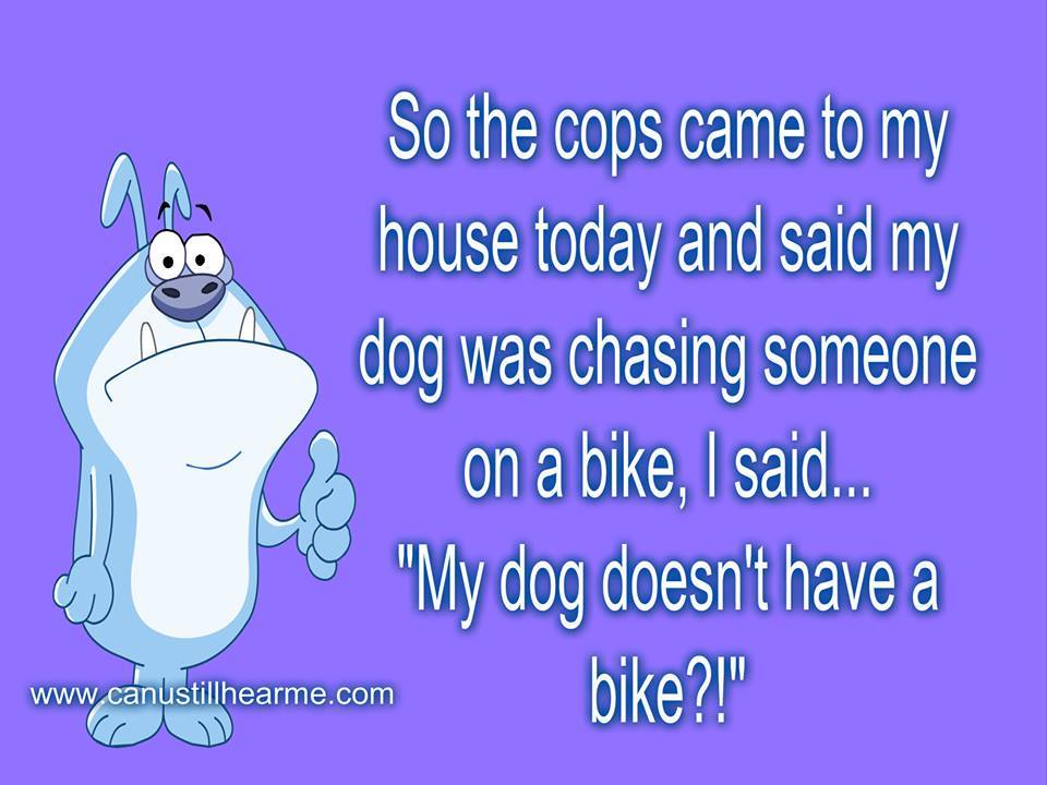 Bills cycle .ca (@manitobahonda) on Twitter photo 