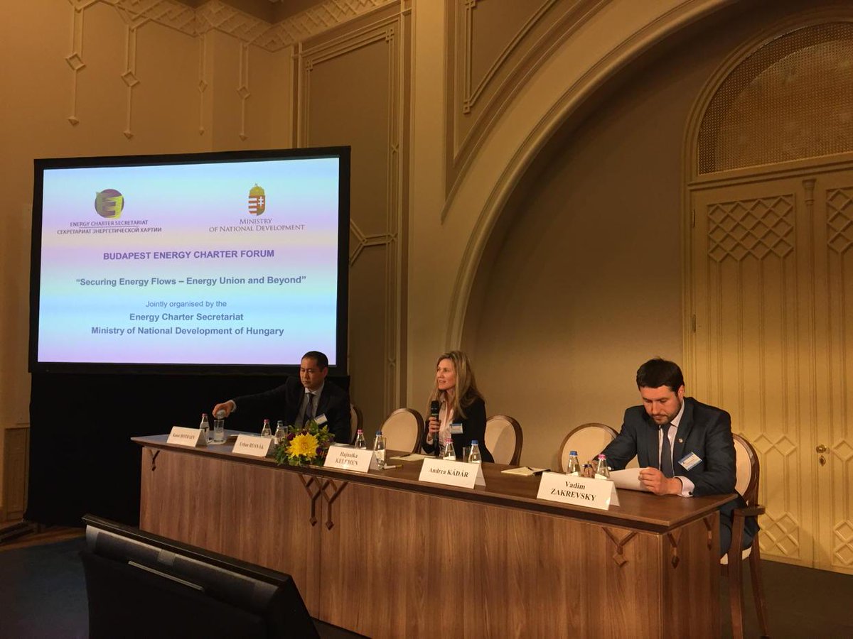 Energy_Charter's tweet photo. The third session of the #Budapest forum on #regional #electricity #cooperaton http://t.co/SGGUho5T6U
