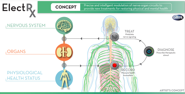 ahier's tweet photo. Contracts awarded for @DARPA's #ElectRx. Teams to map neural circuits, build bio-interfaces http://t.co/D3oqItRATw http://t.co/NV4jHij8E1