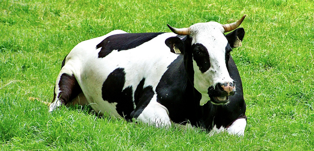 fondieuropei20 tweet picture