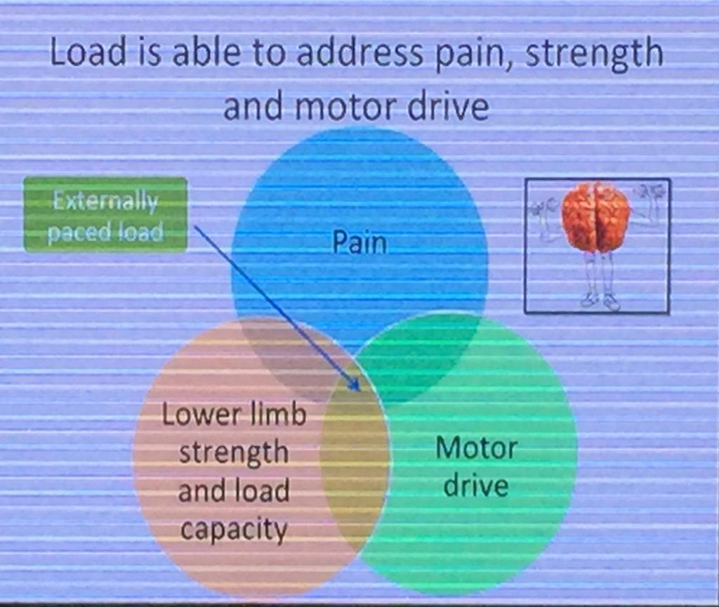 BJSM_BMJ's tweet image. RT @DrSportSante: Missing link in tendon rehab? MOTOR DRIVE says @tendonpain. The forgotten brain again! #MTNECOSEP
