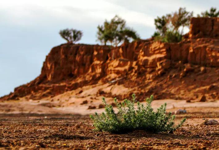 TravelChannel_'s tweet photo. Beyond The Dunes: Road-tripping #Mongolia's Gobi Desert https://t.co/SSPTsaR9SD #Travel https://t.co/RJACI2nD8p #Twitter Please RT